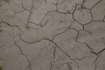 Structure of the dry field, Slovkia