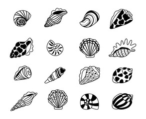 Seashells sketch icons. Sea conchas of clam and oyster sketches, kraken elements of concept of ocean treasure, vector illustration marine shell isolated on white background