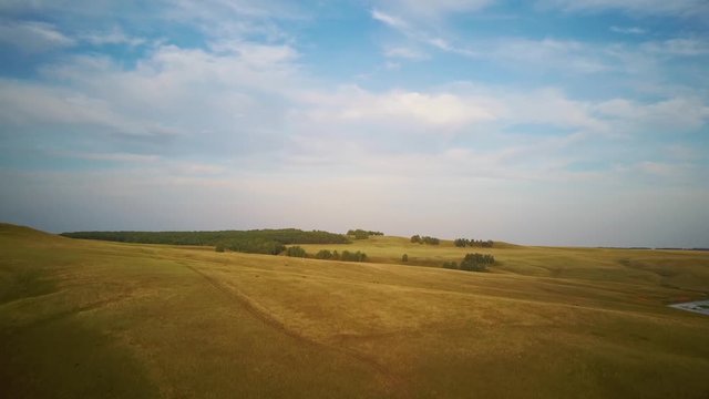 Aerial video flying over yellow field during sunset