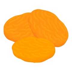 Apricot seed icon. Isometric of apricot seed vector icon for web design isolated on white background