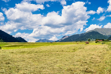 Obraz premium Val Venosta, Vinschgau, Alto Adige, Italy. View over Mals in South Tyrol