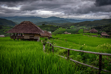 Fototapeta na wymiar The beautiful scenery of the green terraced rice field of Bong Piang forest village in the rainy season in Mae Chaem, Chiang Mai, Thailand.