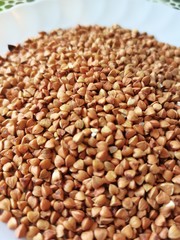 white beans in a bowl