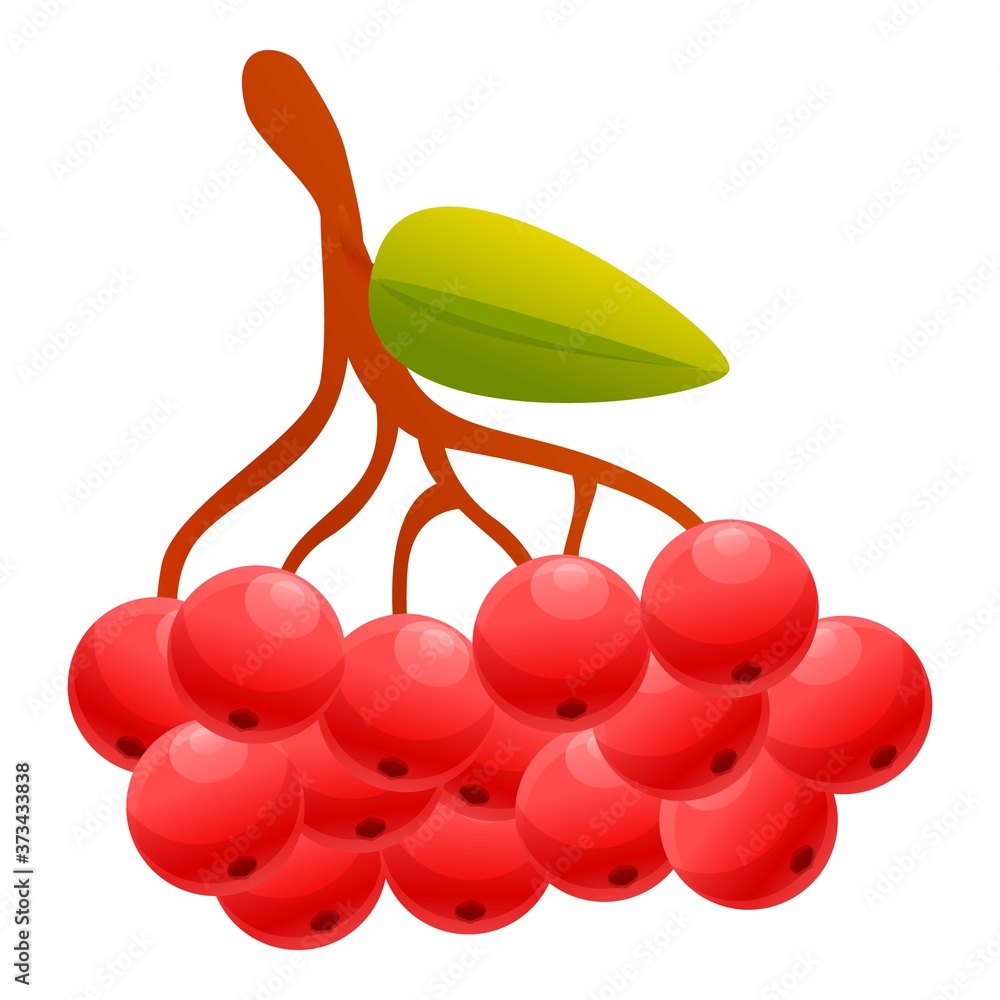Aufkleber rowan sorbus icon. cartoon of rowan sorbus vector icon for web design isolated on white background