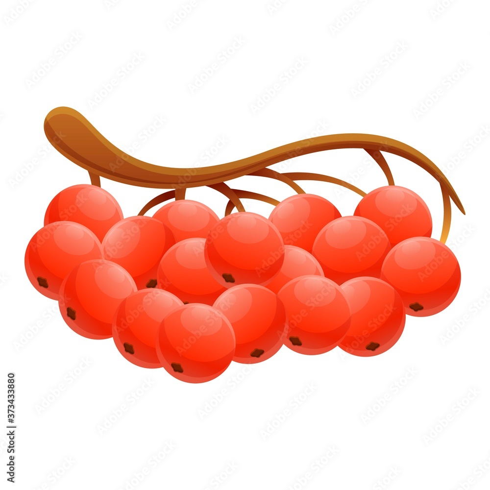 Poster rowan branch icon. cartoon of rowan branch vector icon for web design isolated on white background