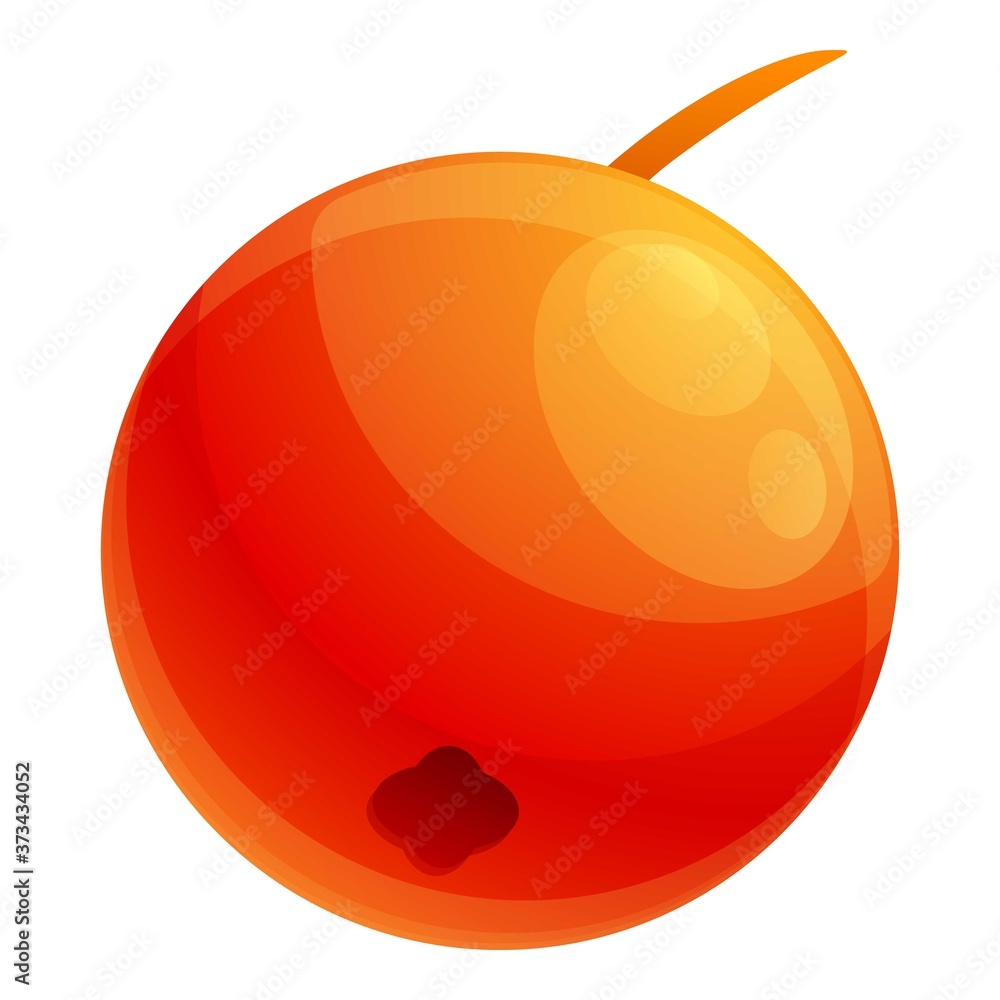 Poster red rowan berry icon. cartoon of red rowan berry vector icon for web design isolated on white backgr
