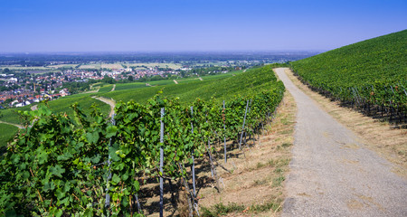 View from Fremersberg to the town of Sinzheim with the Rhine valley near Baden Baden. Baden...