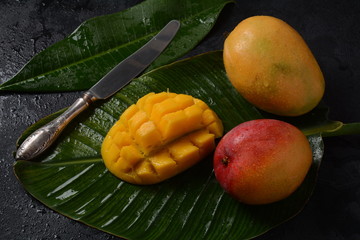 Fresh mango fruit with sliced diced mango chunks on a plate or on leaves as a background 