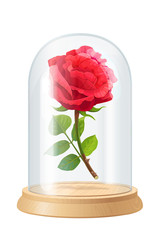vector red rose, glass flask