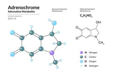 Adrenochrome. Adrenaline Metabolite. Structural Chemical Formula and Molecule 3d Model. Atoms with Color Coding. Vector Illustration