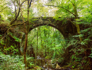 Puente Río Sesín, Caaveiro, Fragas del Eume, Fragas do Eume, A Coruña