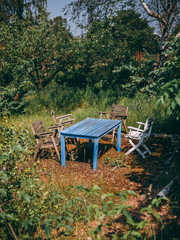 blue table in the woods