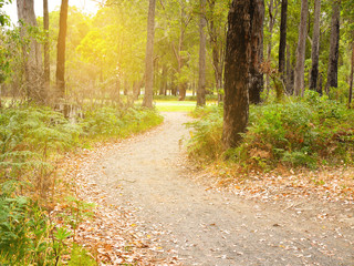 Crooked walkway at sunset