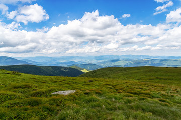 Fototapeta na wymiar Beautiful mountain landscape with low clouds. Ukraine. Carpathians. Recreation.