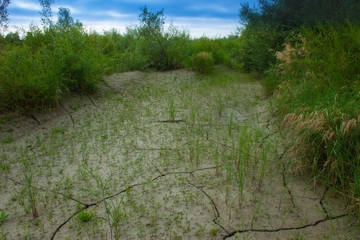 background, texture of cracks in the soil near the river