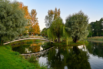 Fototapeta na wymiar wooden bridge over water in beautiful park