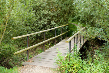 Eine Brücke an einem Waldweg im Sommer