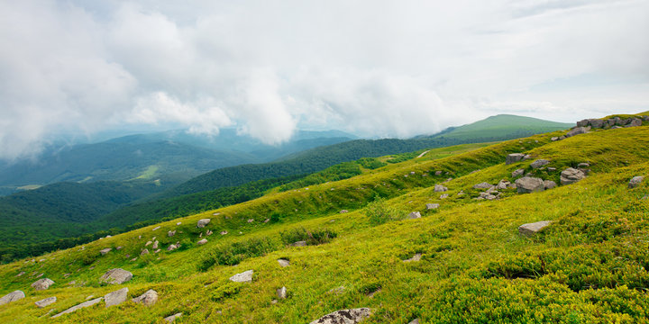 summer landscape of runa mountain. grassy hills of alpine meadow (polonyna). beautiful destination of ukrainian carpathians. clouds on the sky
