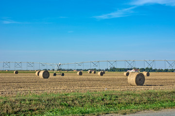 Obraz premium Baled straw coiled