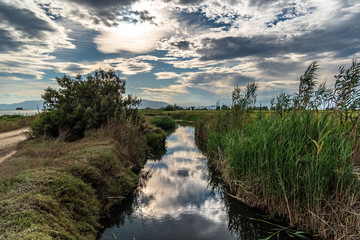 Reflection in a river