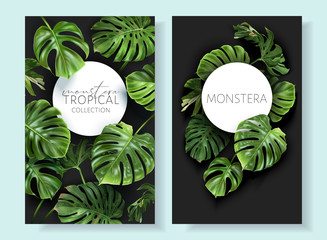 Vector tropical frames with green monstera leaves on black background. Luxury exotic botanical design for cosmetics, wedding invitation, summer banner, spa, perfume, beauty, travel, packaging design © purplebird