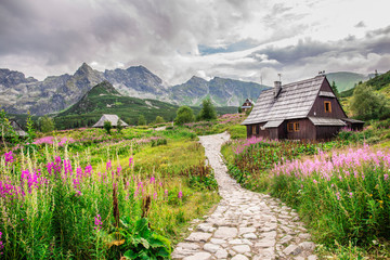 Hala Gasienicowa in Tatra Mountains Poland. Alpine style landscape in the summer. Wooden houses on a meadow with flowers. 