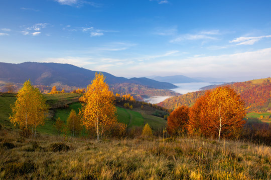 autumn sunrise in mountains. countryside landscape in fall season. fog in the distant valley. sunny morning