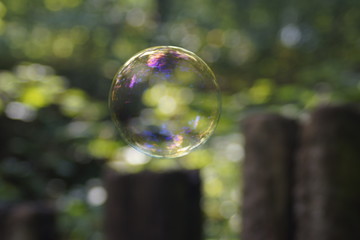 soap bubbles in the air