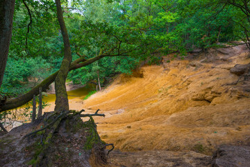 The shores of a stream in a green deciduous forest in sunlight in summer, Limburg, The Netherlands, August 23, 2020
