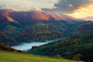 foggy morning in autumn mountains. countryside scenery in fall colors. colorful trees on the hillside. landscape beneath a sky with clouds at sunrise