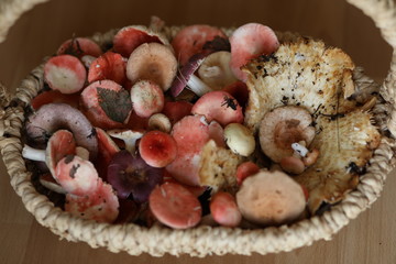 Different types of mushrooms in a wicker basket.