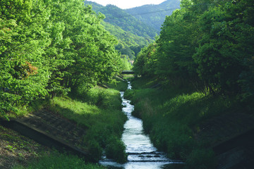 田舎の川