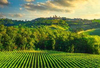 Fototapeta na wymiar San Gimignano panoramic medieval town towers skyline and vineyards. Tuscany, Italy
