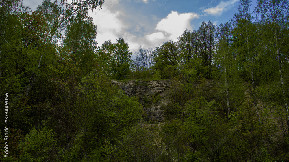 Wall mural clouds over the forest