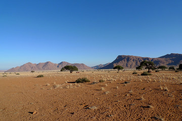 The Tiras mountains in the distance as seen over the flat expanse of the Namtib region