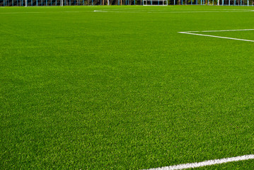 Fototapeta na wymiar Soccer field texture close up. Grass in the stadium. Finely mown lawn for sports grounds. Straight lines are drawn in white paint. Restrictive zones at the stadium.