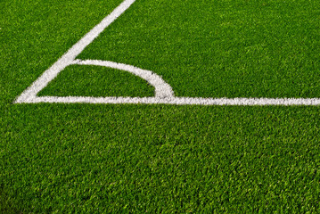 Soccer field texture close up. Grass in the stadium. Finely mown lawn for sports grounds. Straight lines are drawn in white paint. Restrictive zones at the stadium.