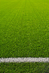 Soccer field texture close up. Grass in the stadium. Finely mown lawn for sports grounds. Straight lines are drawn in white paint. Restrictive zones at the stadium.