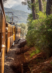 Ausflug mit dem Roten Blitz nach Soller