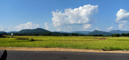 cyttack,Odisha / India - 23 August : sky and roa horizontal view along crop field.