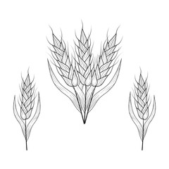 Cereal for beer making or bakery. Malt, barley, wheat ears silhouettes.  Vector isolated vintage illustration. 