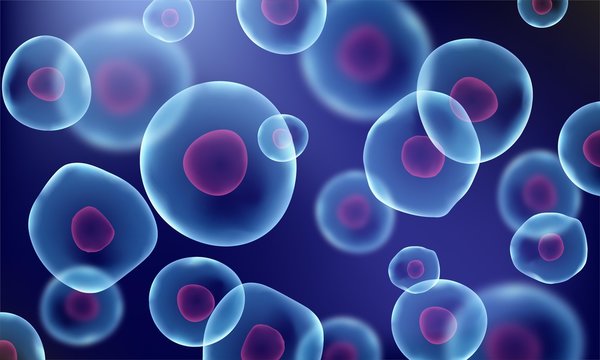 3d cell stem science background. Medical microscopic molecular conception. Biology research dna nucleus cells vector pattern. 