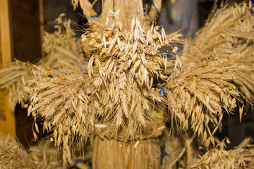 Sheafs of different cereals close-up in selective focus