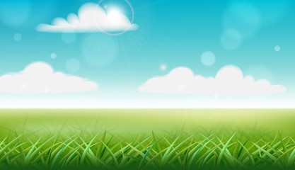 Peisage of a meadow. Green grass. Blue sky with clouds