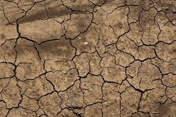 Texture of cracked dried soil. Dry ground with cracks. Brown rough surface of the soil during summer drought. Great for background and design. Ecology, climate change and global warming on Earth.