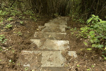 Stair to the waterfall in the deep forest of Thailand.