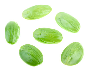 Top view for fresh green Parkia speciosa seeds isolate on white background.