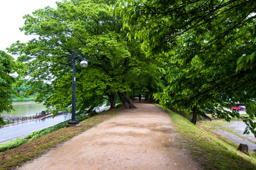 The beautiful landscape of forest path road,