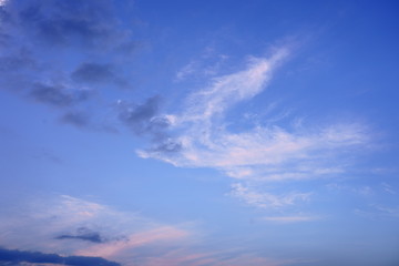 Naklejka na ściany i meble 羽を広げた鳥のような雲 / Clouds looks like a flying bird silhouette