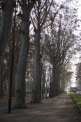 Fototapeta premium Footpath in autumn